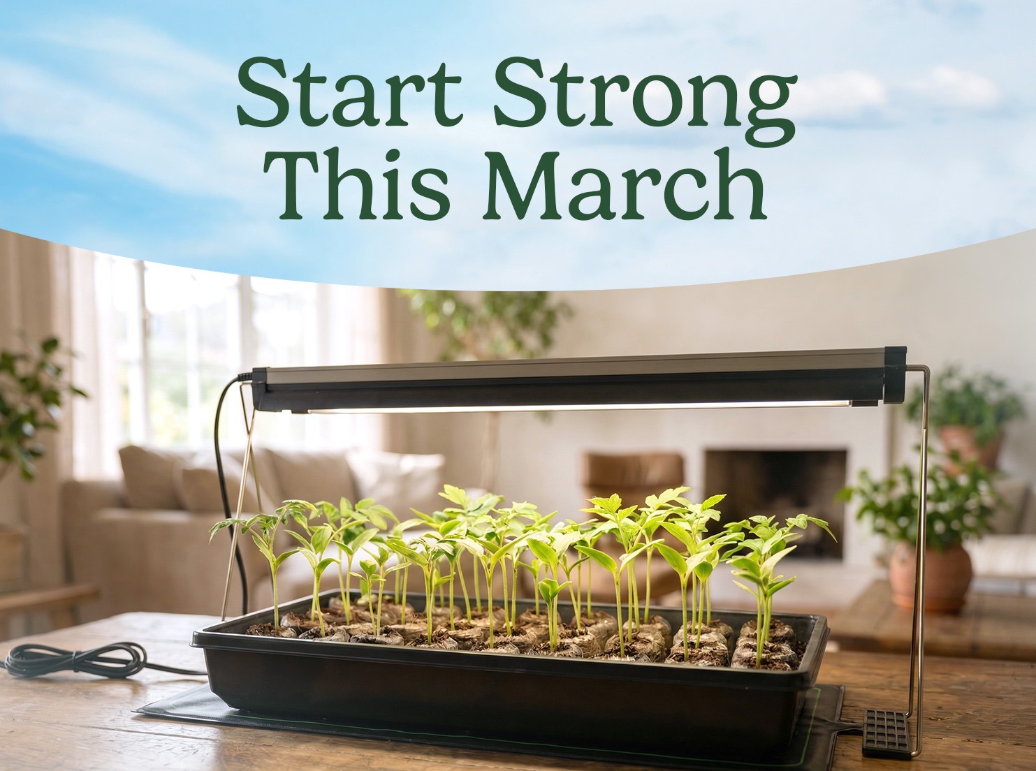 Indoor seed-starting setup with trays, heat mat, and grow lights supporting young seedlings.