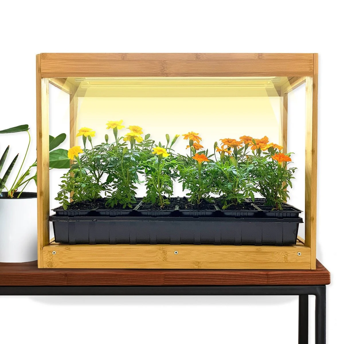 Image of Ferry-Morse Modern Indoor Bamboo LED Growhouse