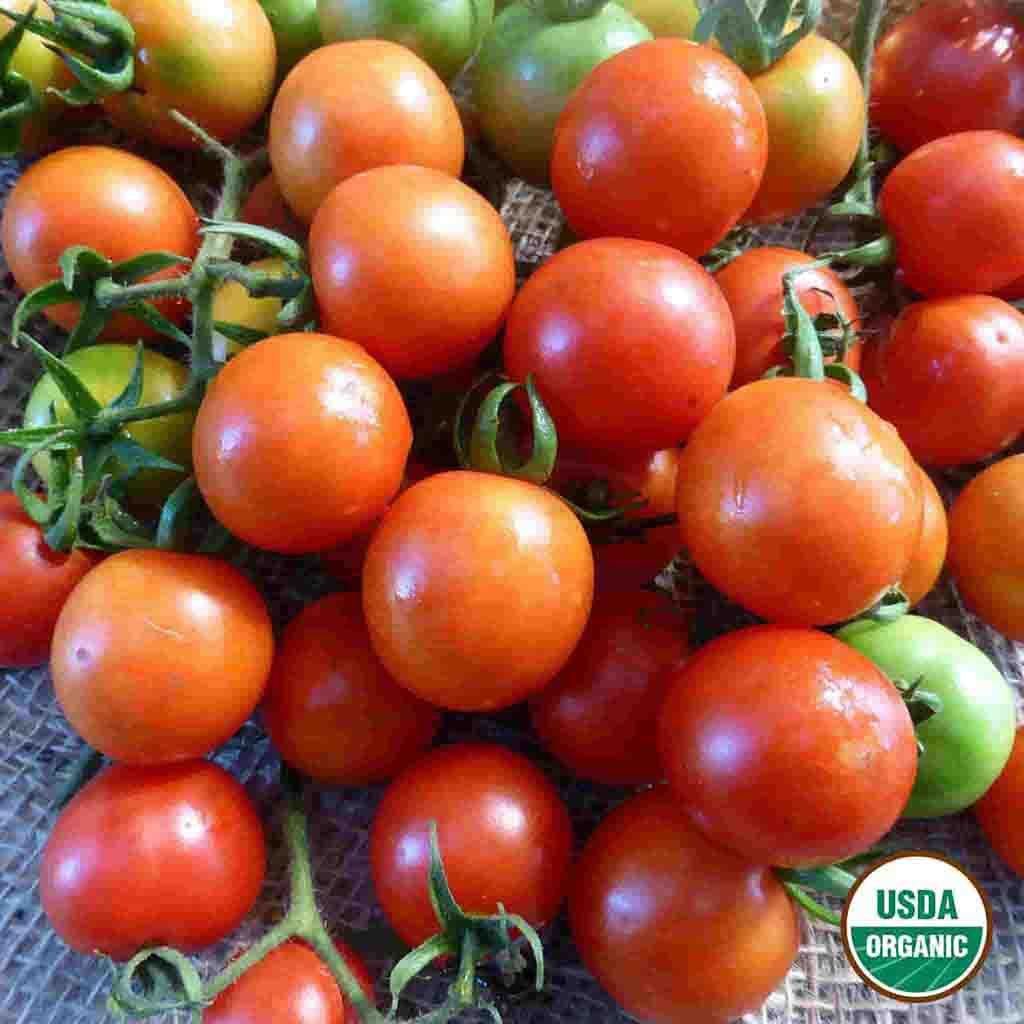 Image of Tomato, Sweetie Organic Seeds, 300mg