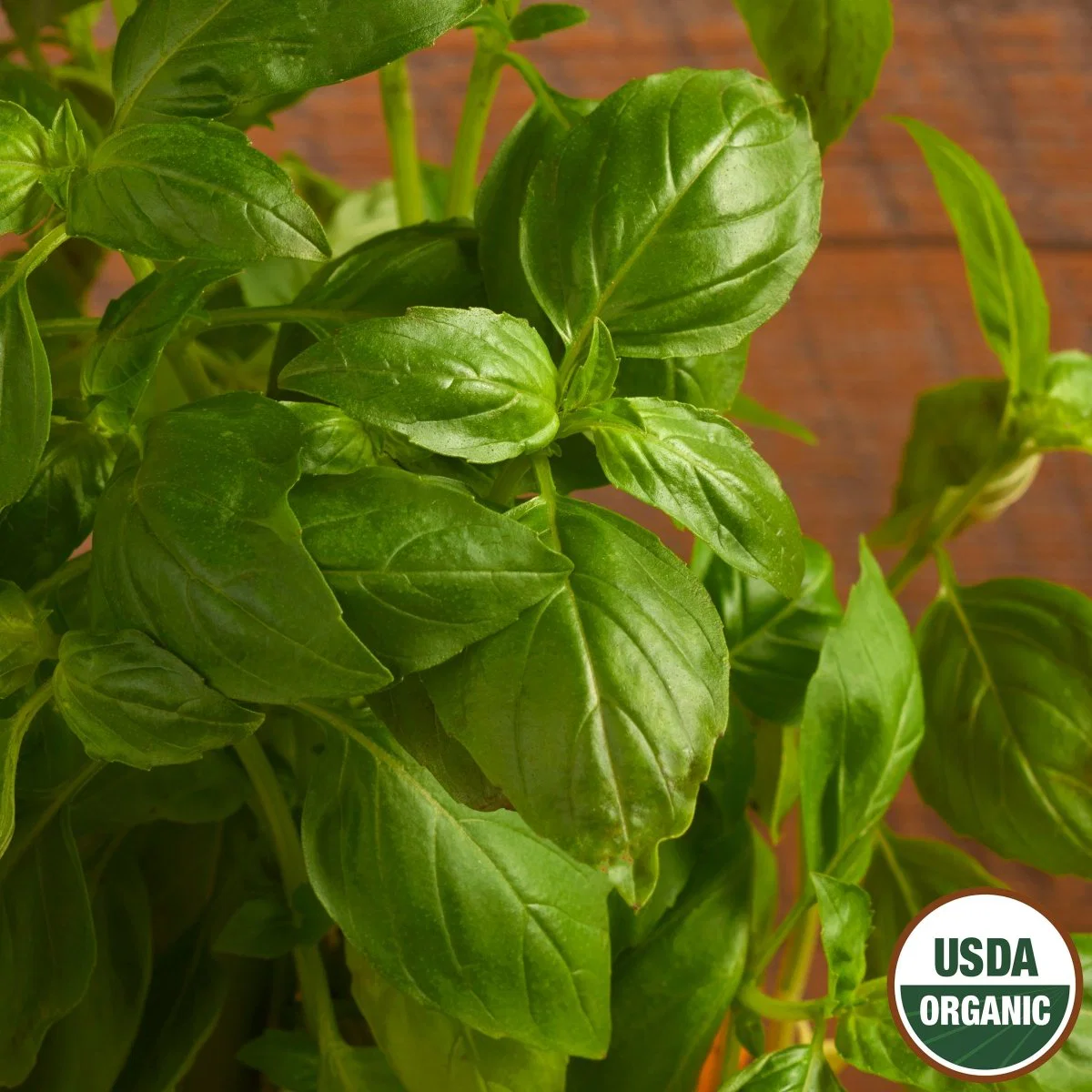 Image of Basil, Genovese Organic Seeds, 300mg