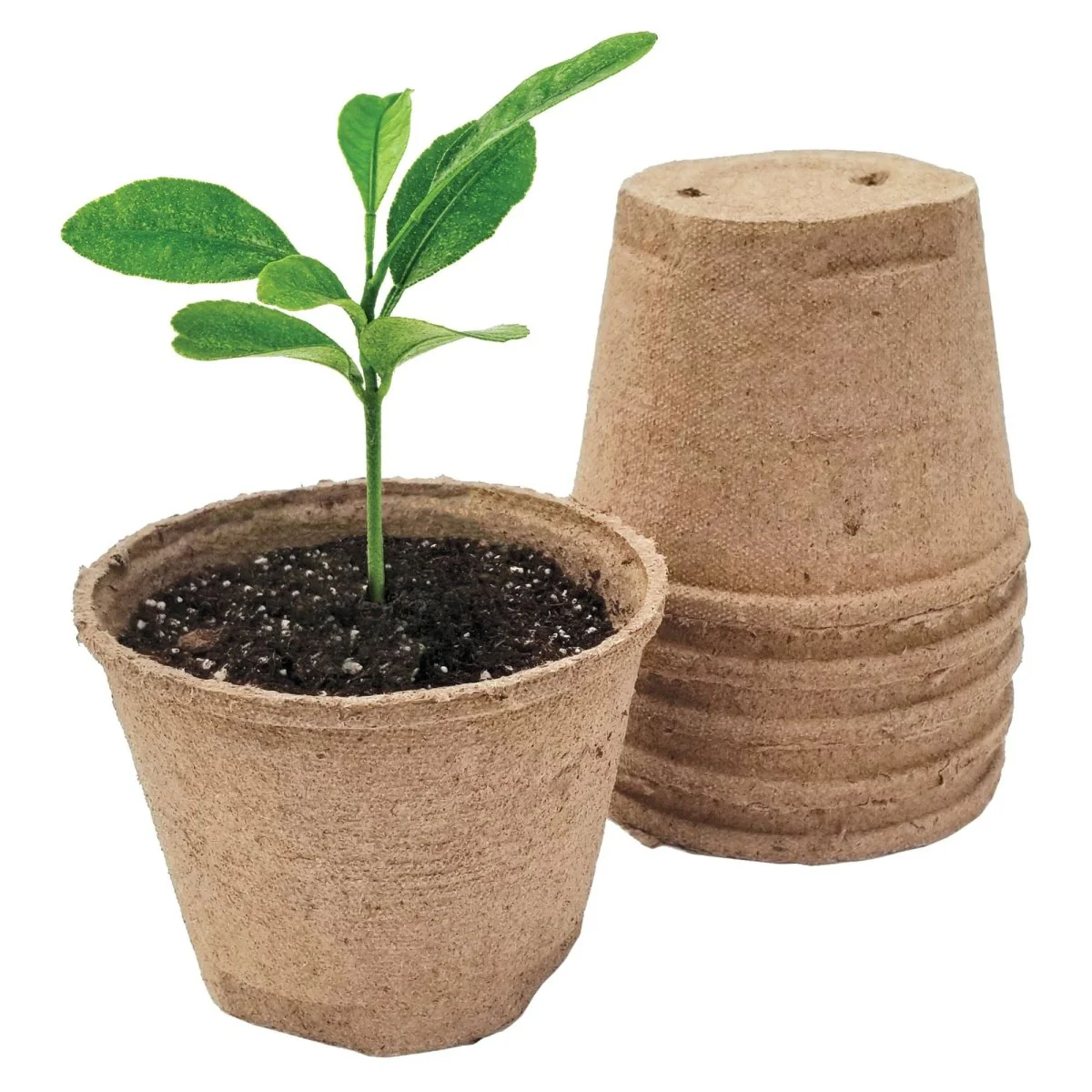 Image of Jiffy-Pots, 5 inch Peat Pots