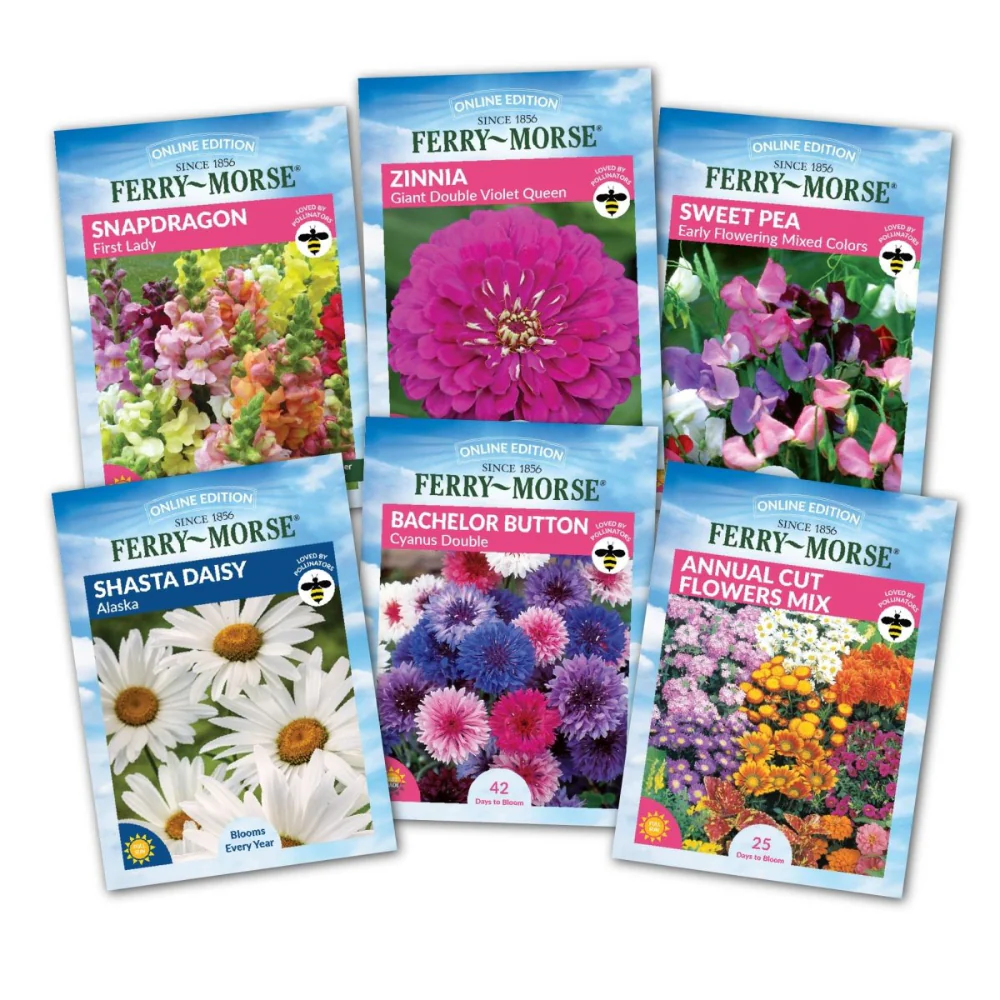 Image of Bouquet Cut Flower Seed Variety Pack - 6 Pack