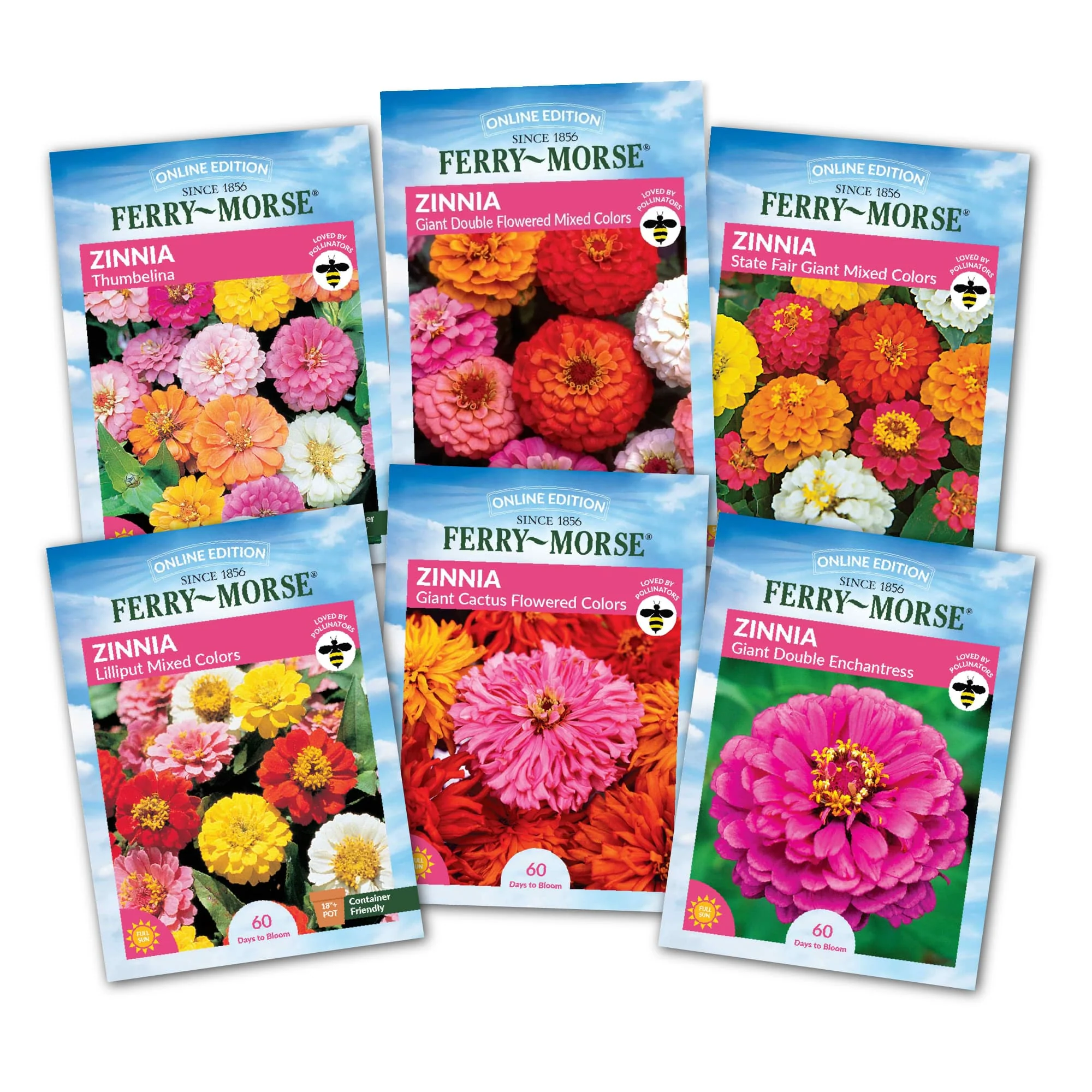 Image of Zinnia Flowers Top Sellers Seed Variety Pack - 6 Pack