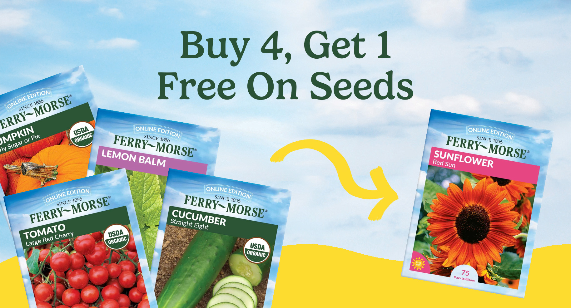 Buy 4 get 1 ferry morse seeds