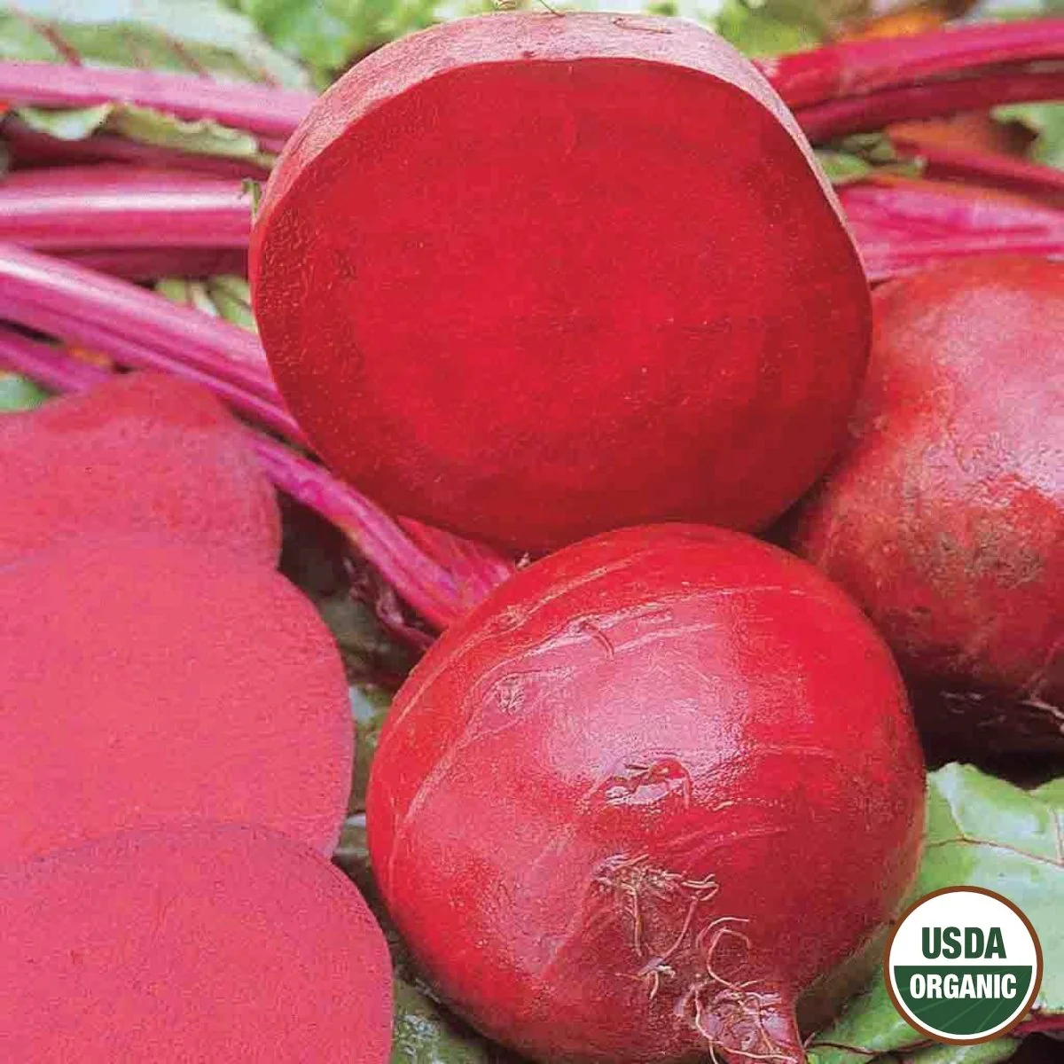 Image of Beet, Ruby Queen Organic Seeds, 5.3g