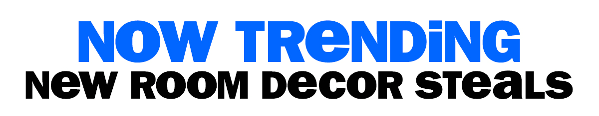 now trending-new room decor steals