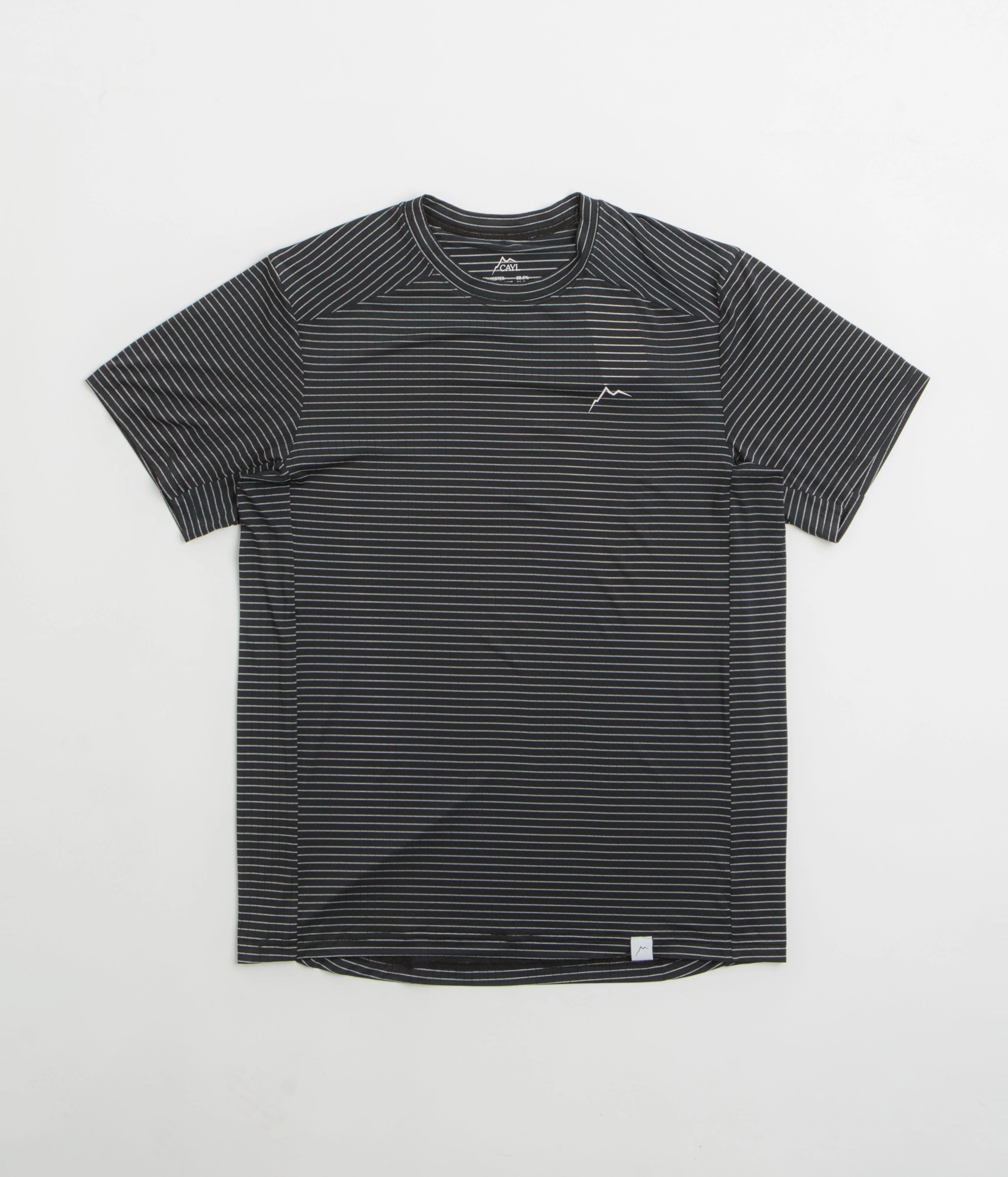 Image of Cayl Stripe Logo T-Shirt