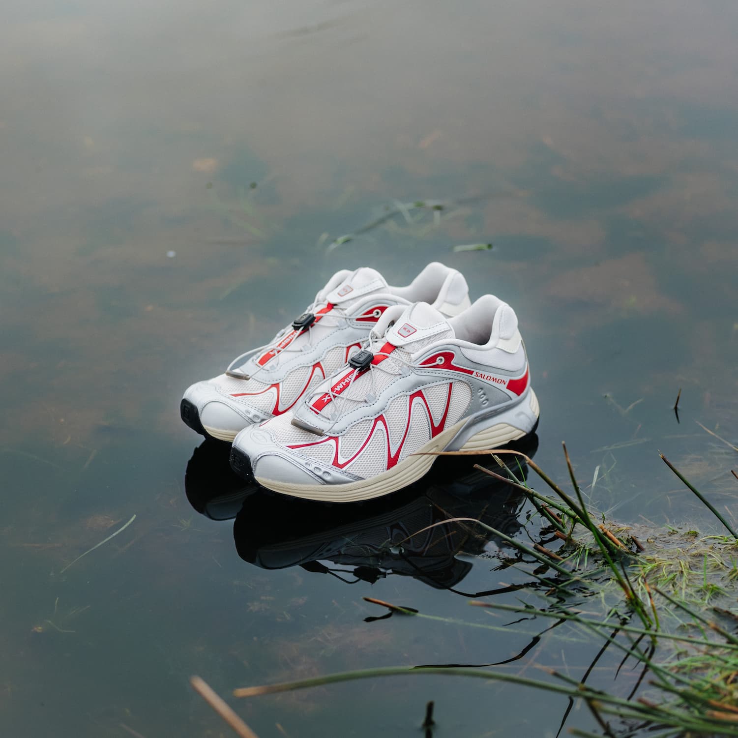 Salomon @ flatspot
