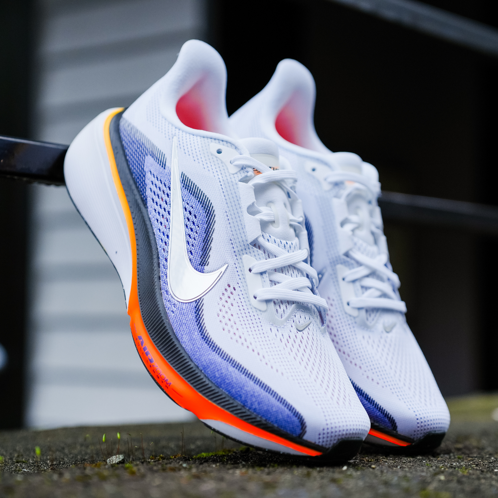 Nike Pegasus 42