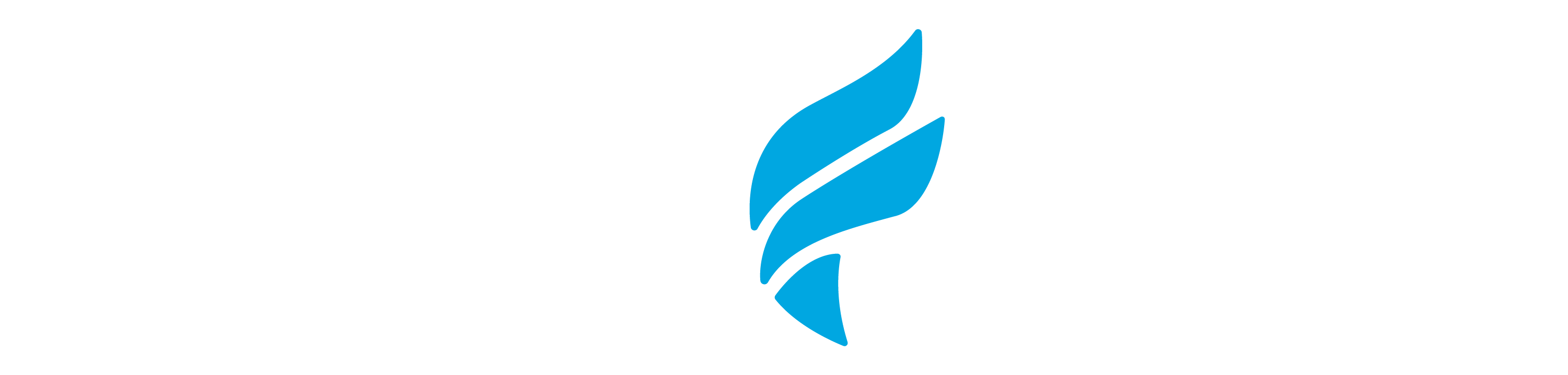 Fleet Feet