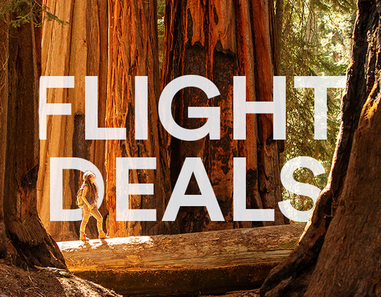 Flight Deals.