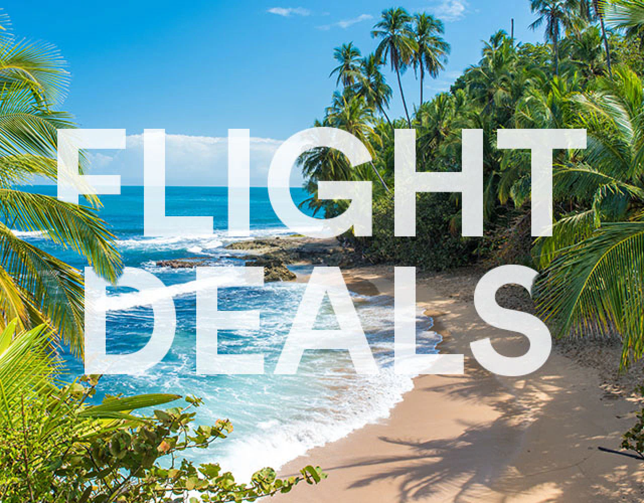 Flight Deals.