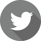 Twitter Icon