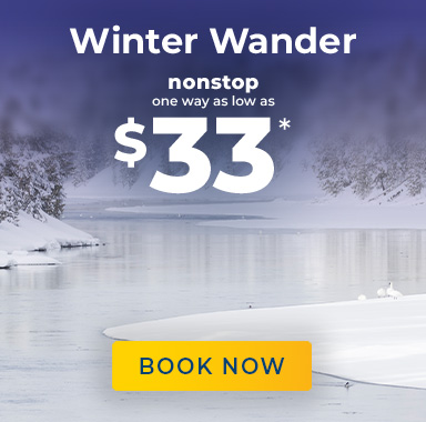 Winter Wander