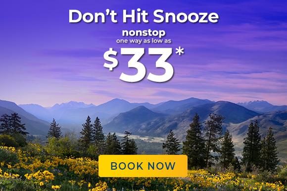 Don’t Hit Snooze