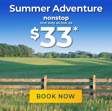 Summer Adventure