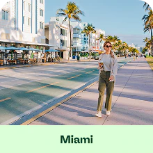 Miami palm trees and beach