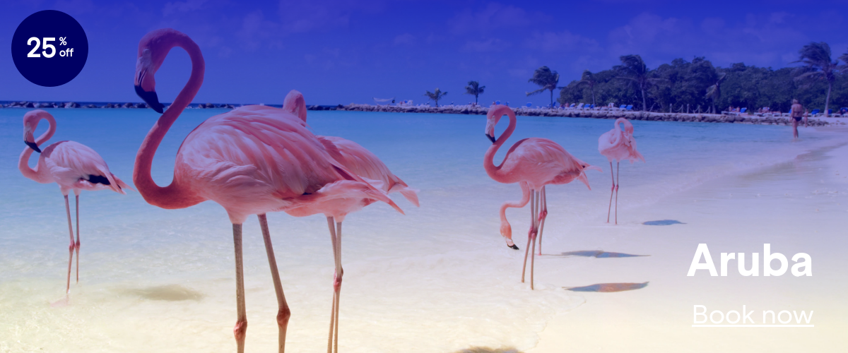 JFK to AUA. Click here to see flights.