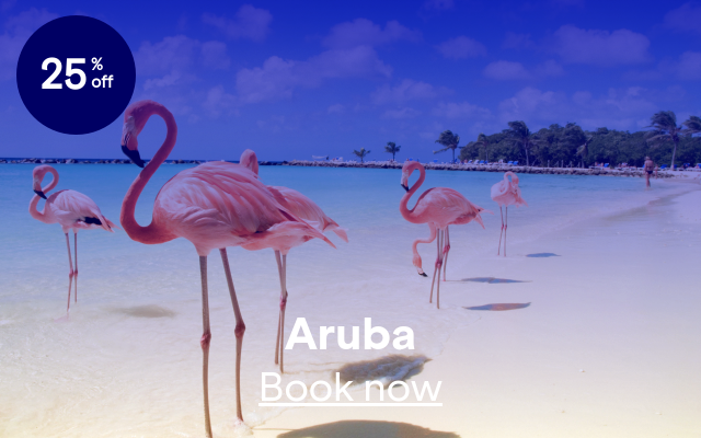 JFK to AUA. Click here to see flights.