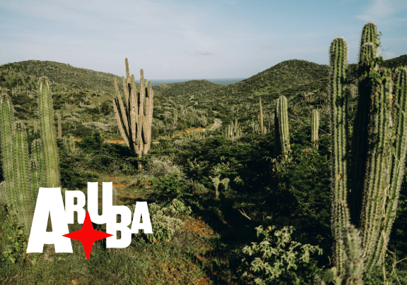 Sun Country Air and Hotel Packages
