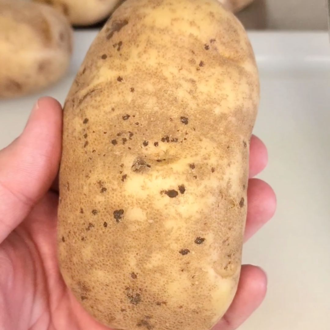 F.N. Sharp How-To Video: How to Cut Potatoes 4 Ways