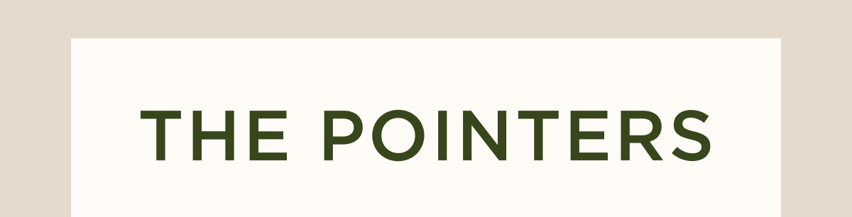 THE POINTERS