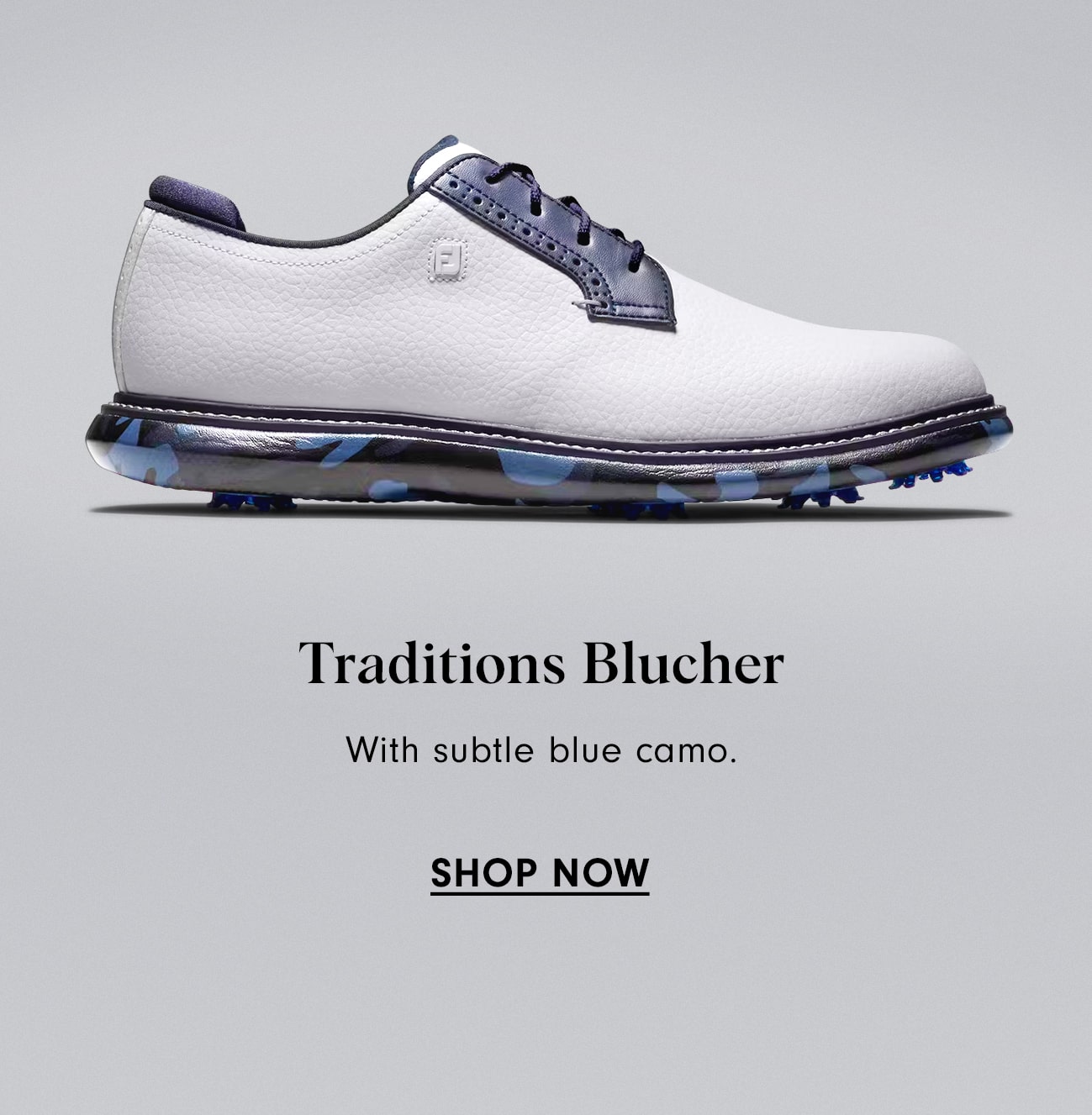 Traditions Blucher