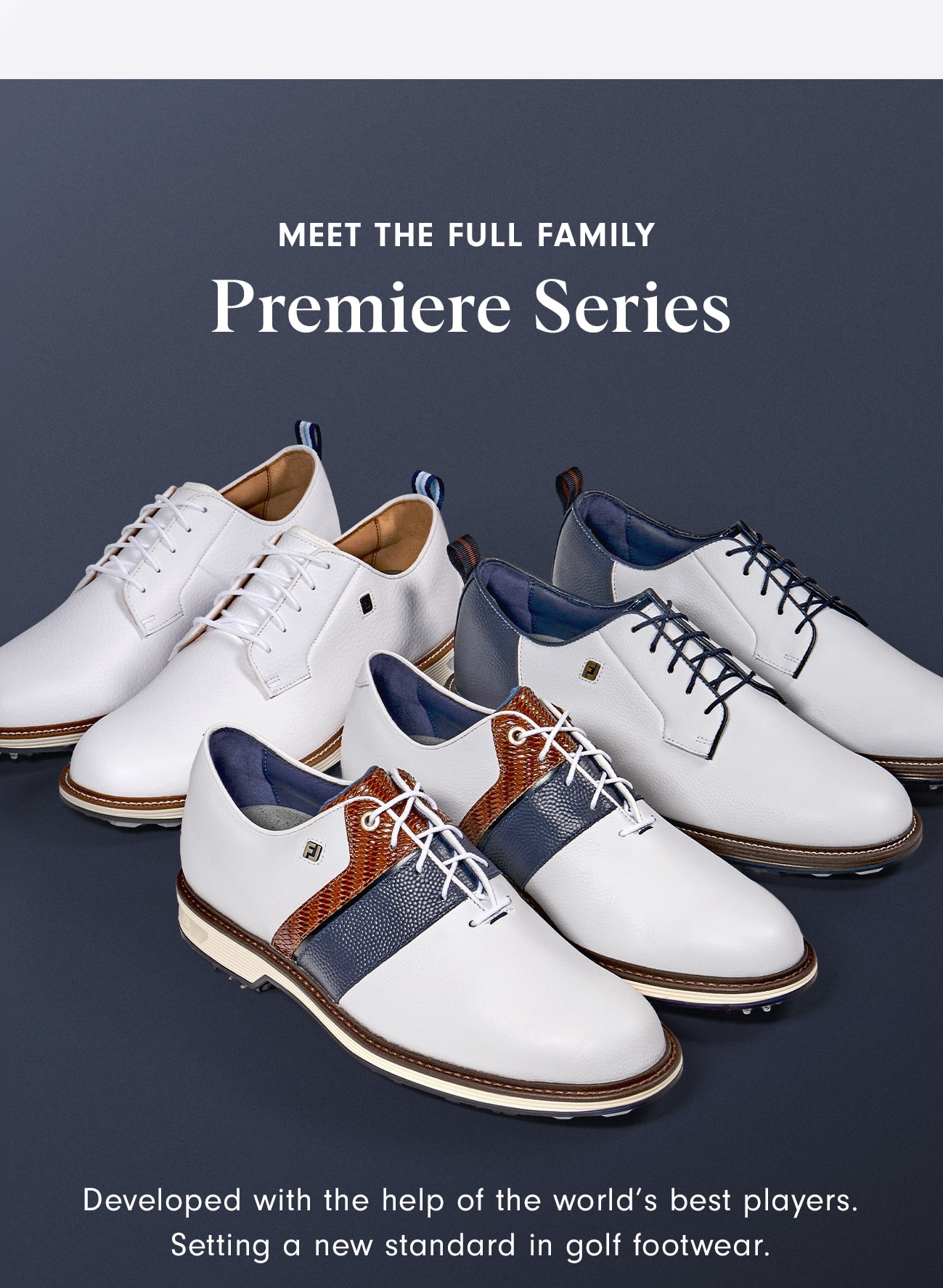 Meet the Full Premiere Series Family