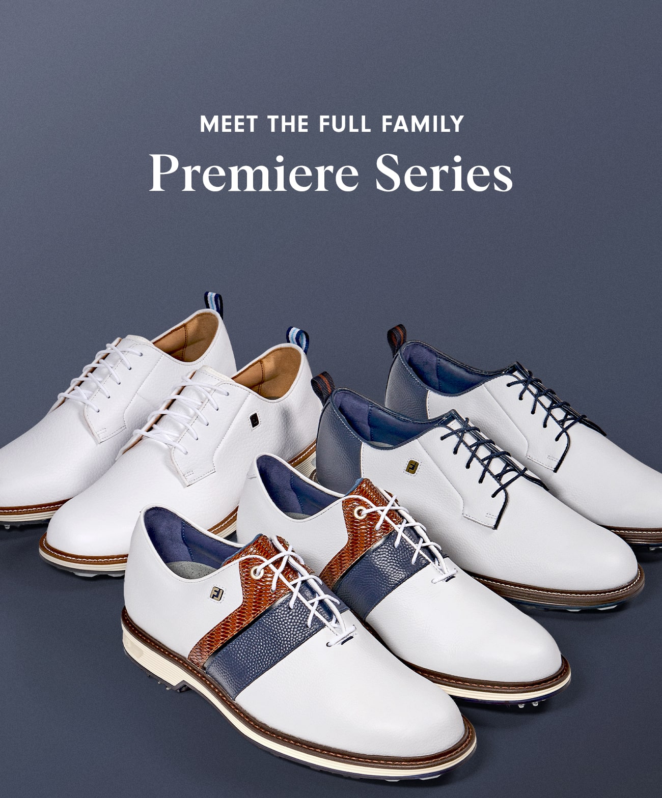 Meet the Full Premiere Series Family