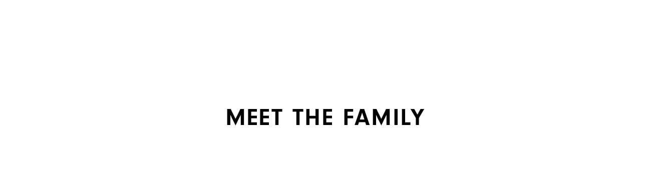 Meet the Family