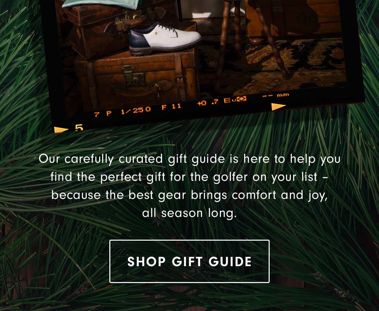 Shop Gift Guide