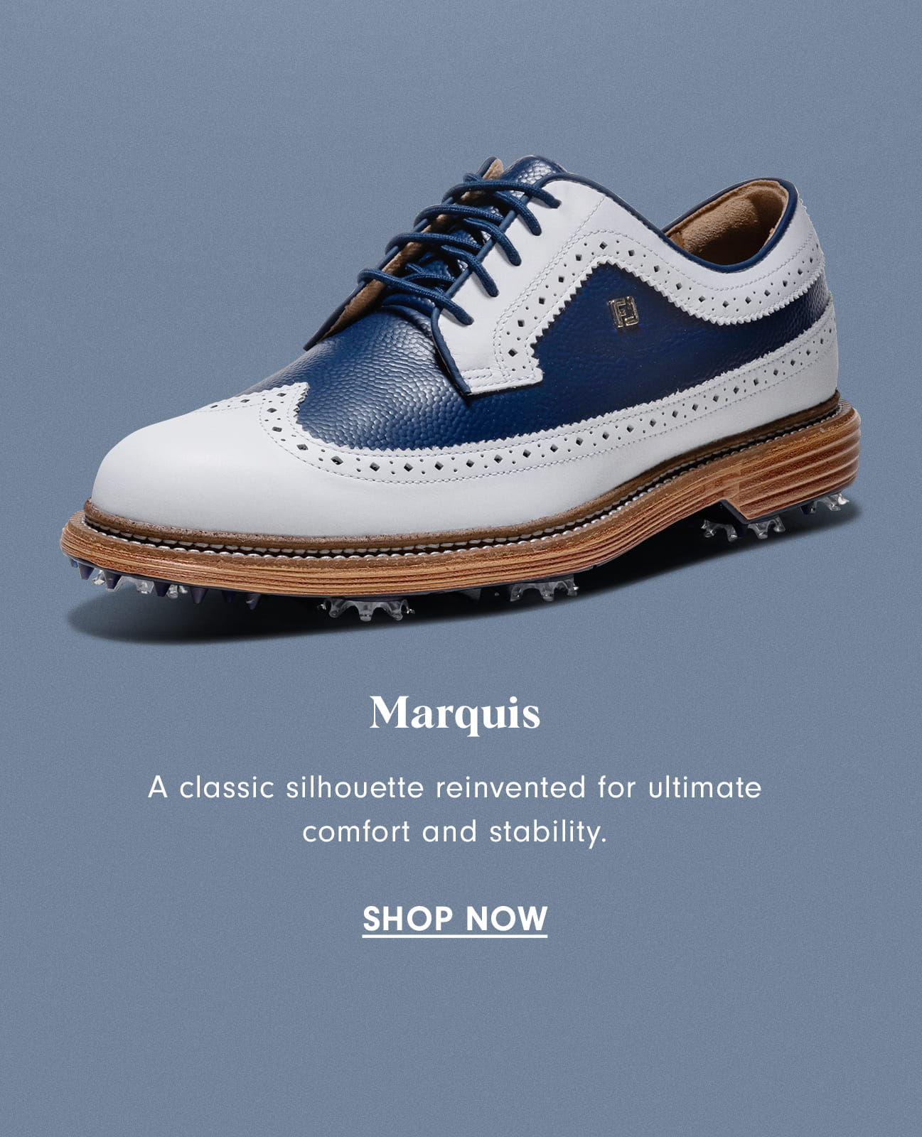 Navy and White Marquis Shop Now