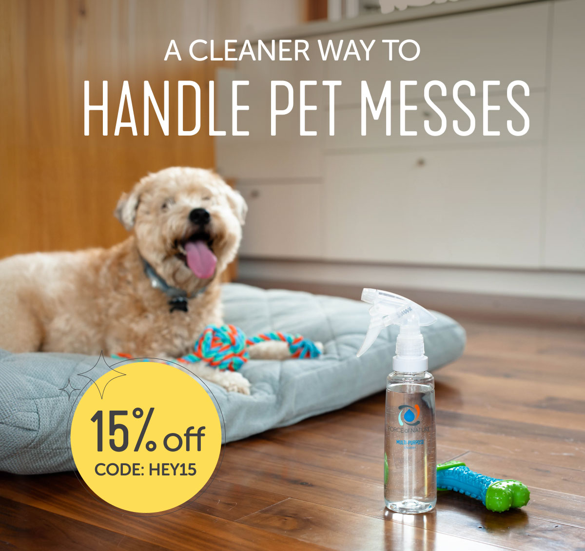 A Cleaner Way To Handle Pet Messes