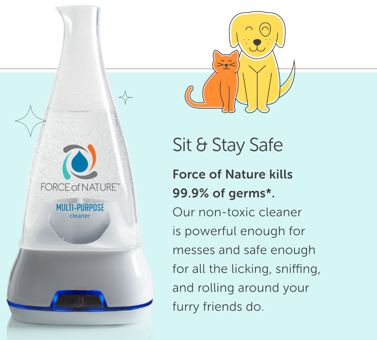 Sit & Stay Safe