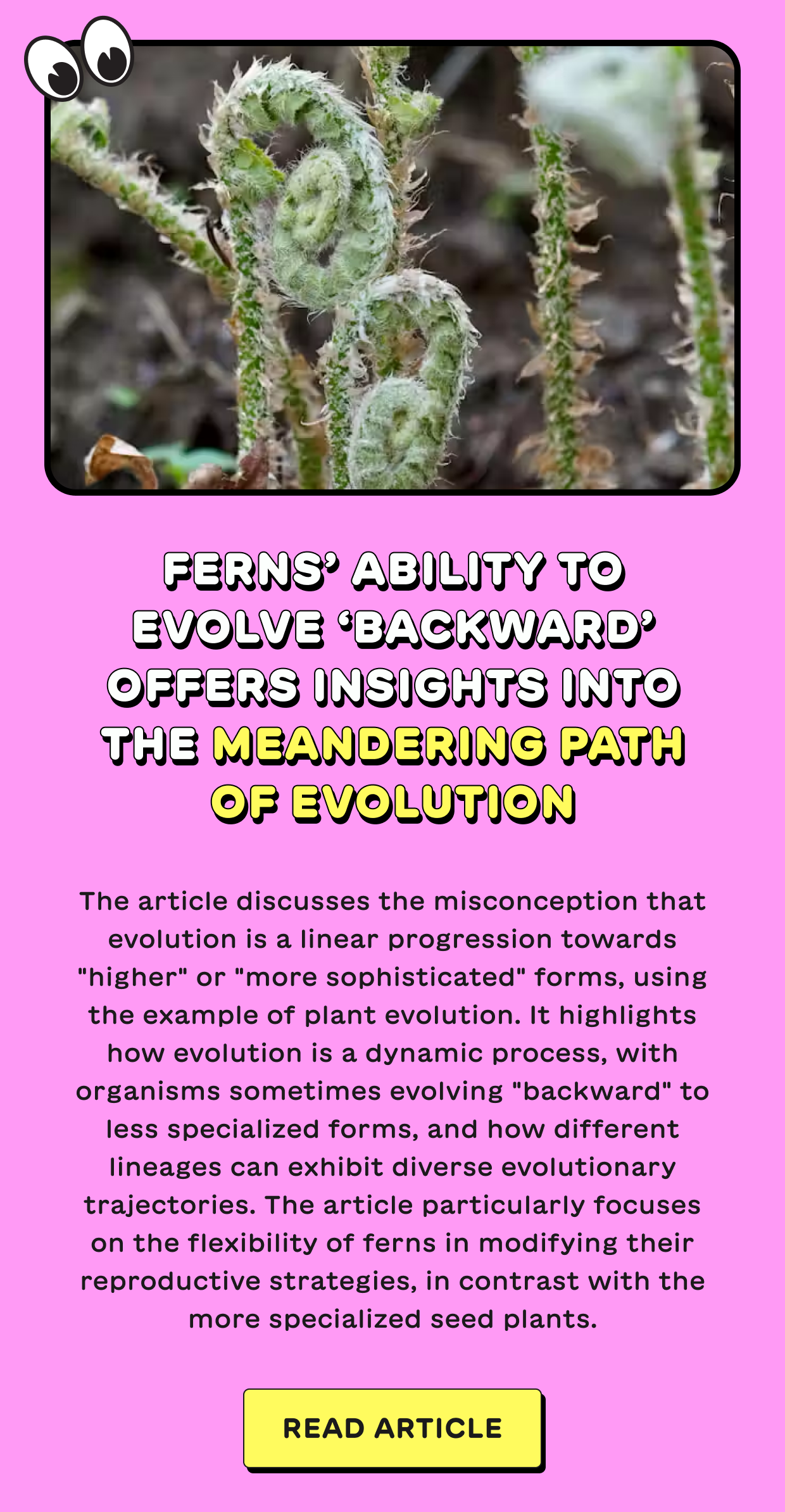 Ferns’ ability to evolve ‘backward’ offers insights into the meandering path of evolution