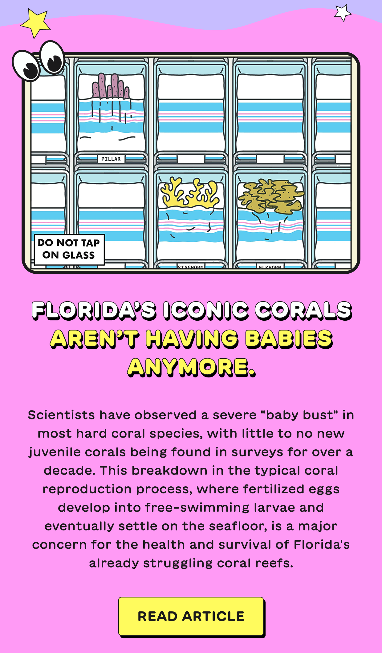 Florida’s iconic corals aren’t having babies anymore.