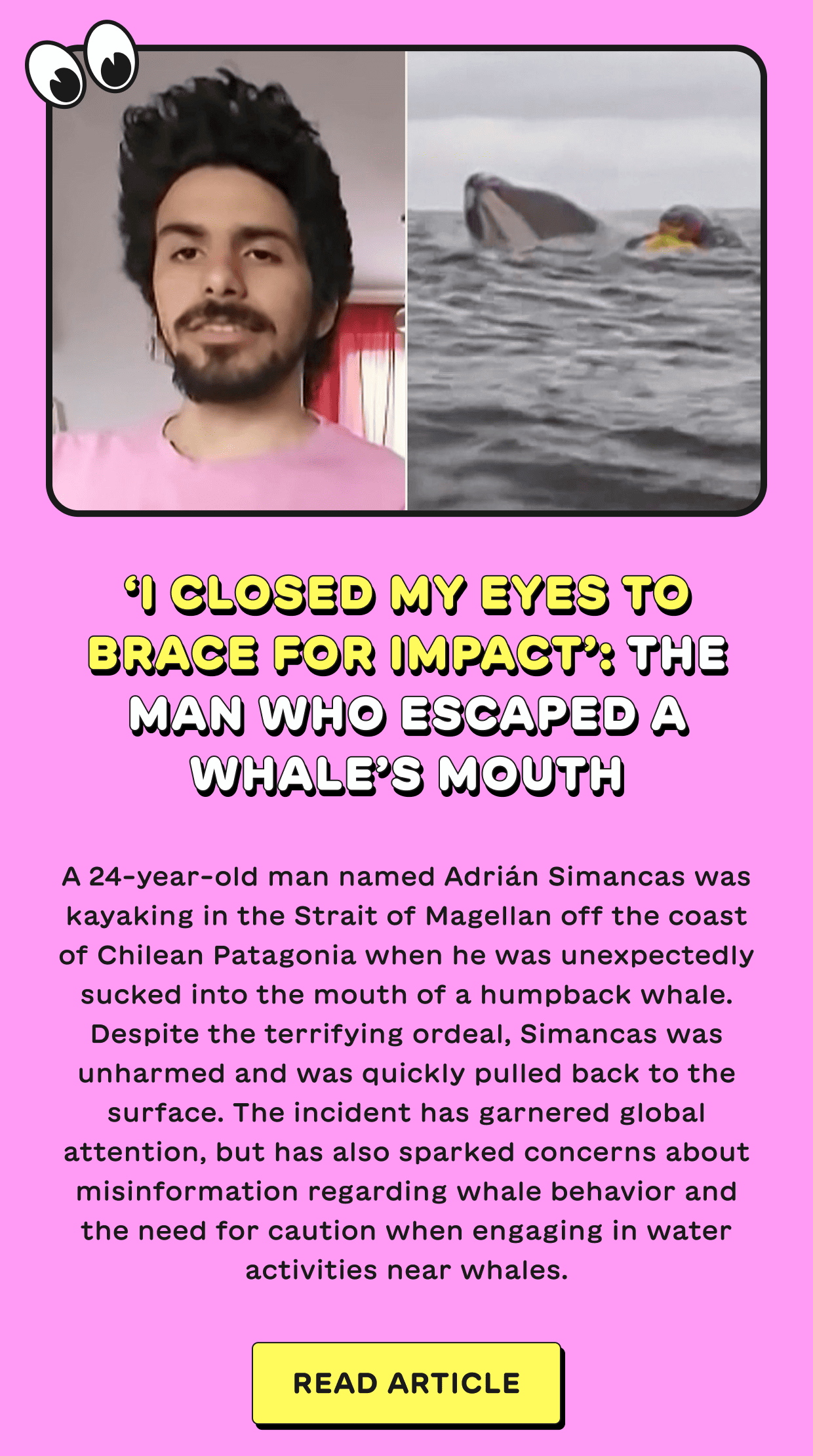 ‘I closed my eyes to brace for impact’: the man who escaped a whale’s mouth