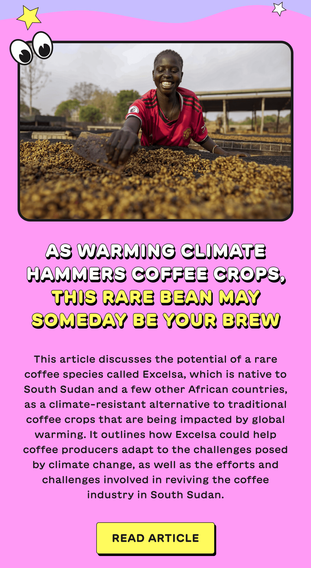 As warming climate hammers coffee crops, this rare bean may someday be your brew