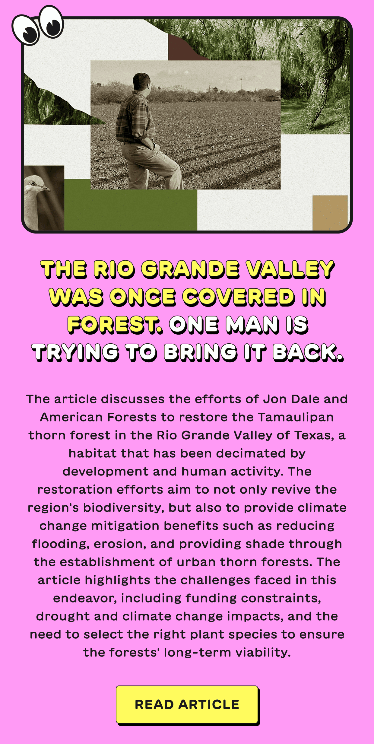 The Rio Grande Valley was once covered in forest. One man is trying to bring it back.