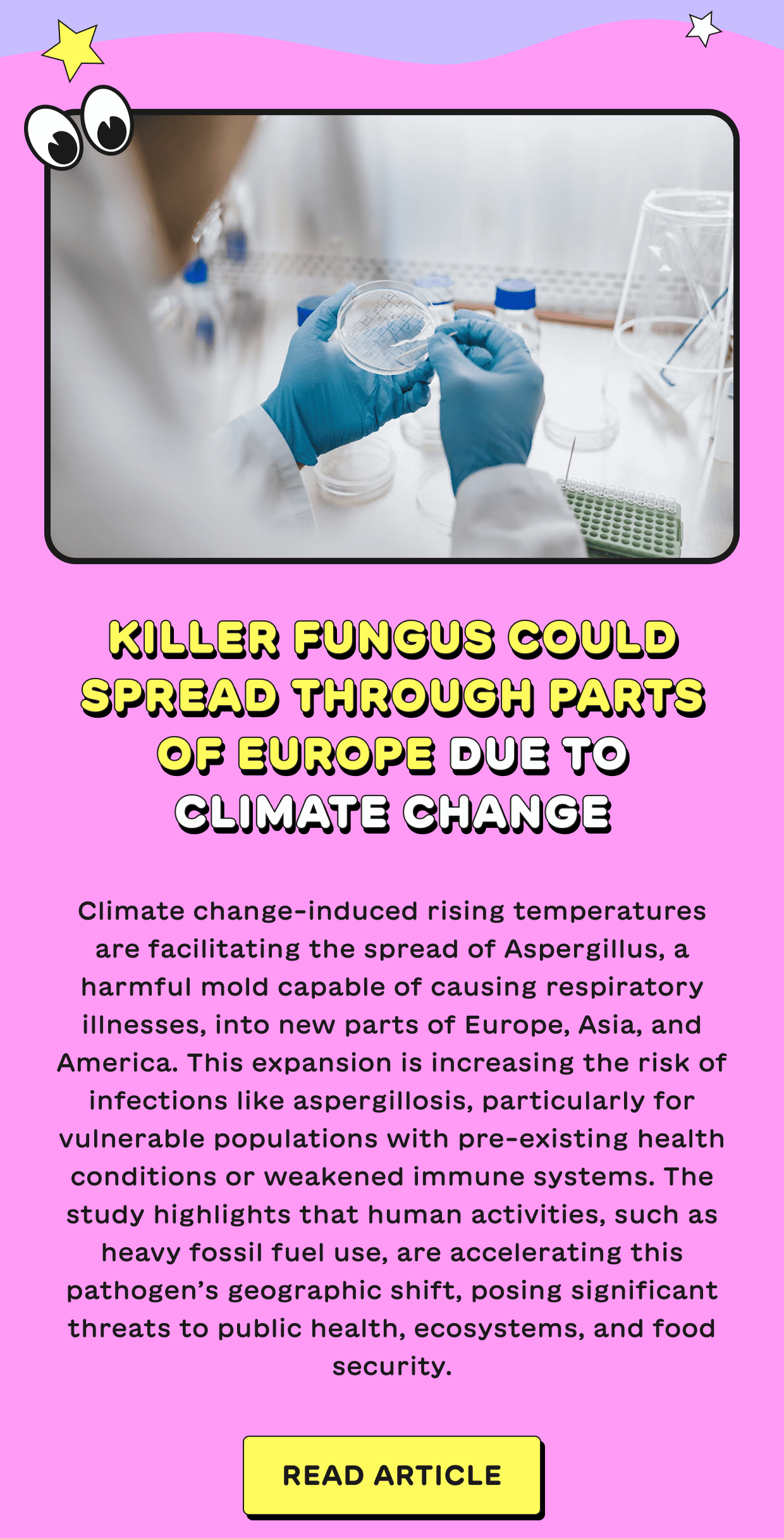 Killer fungus could spread through parts of Europe due to climate change