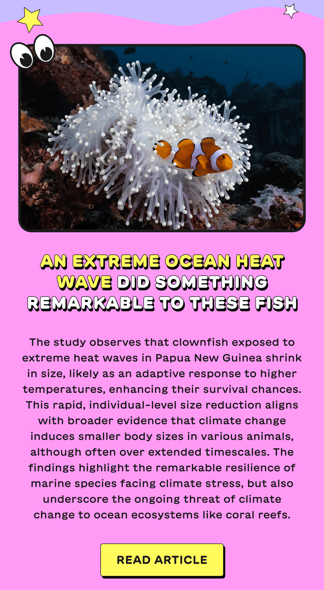 An extreme ocean heat wave did something remarkable to these fish