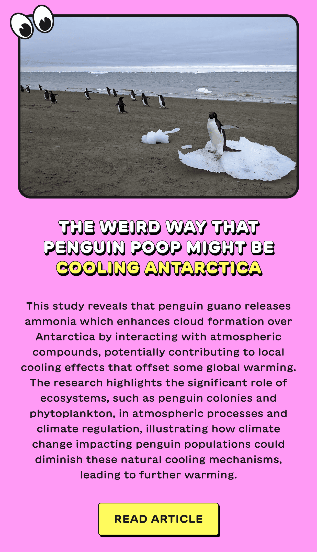 The weird way that penguin poop might be cooling Antarctica