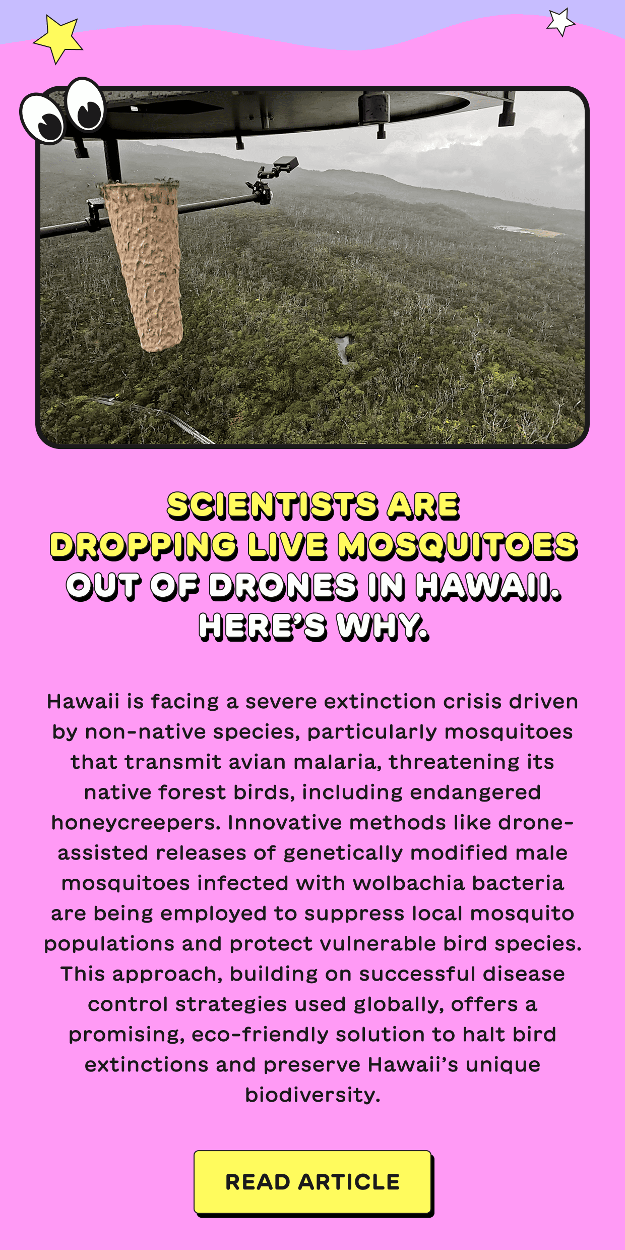 Scientists are dropping live mosquitoes out of drones in Hawaii. Here’s why.