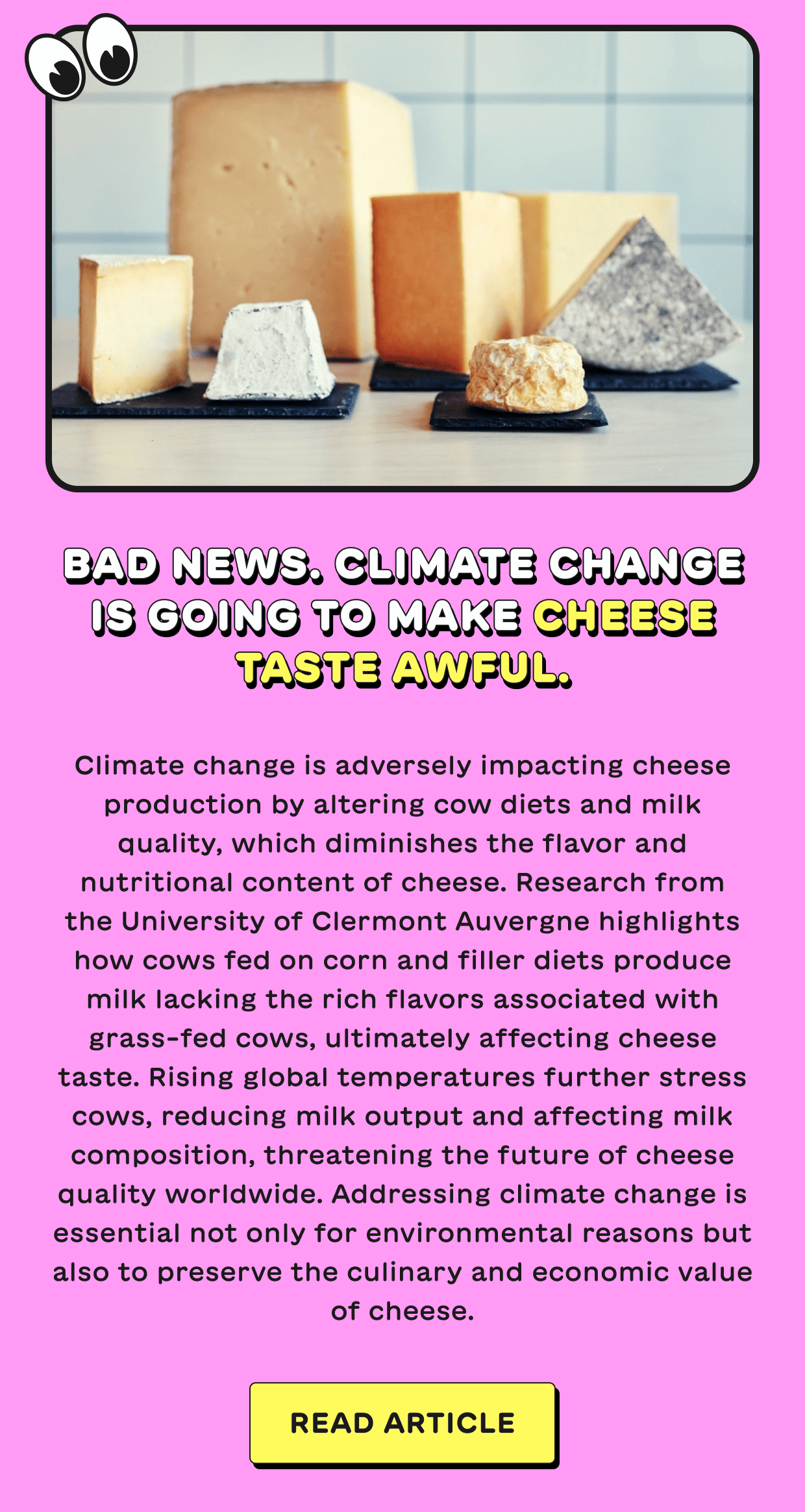 Bad News. Climate Change Is Going To Make Cheese Taste Awful.