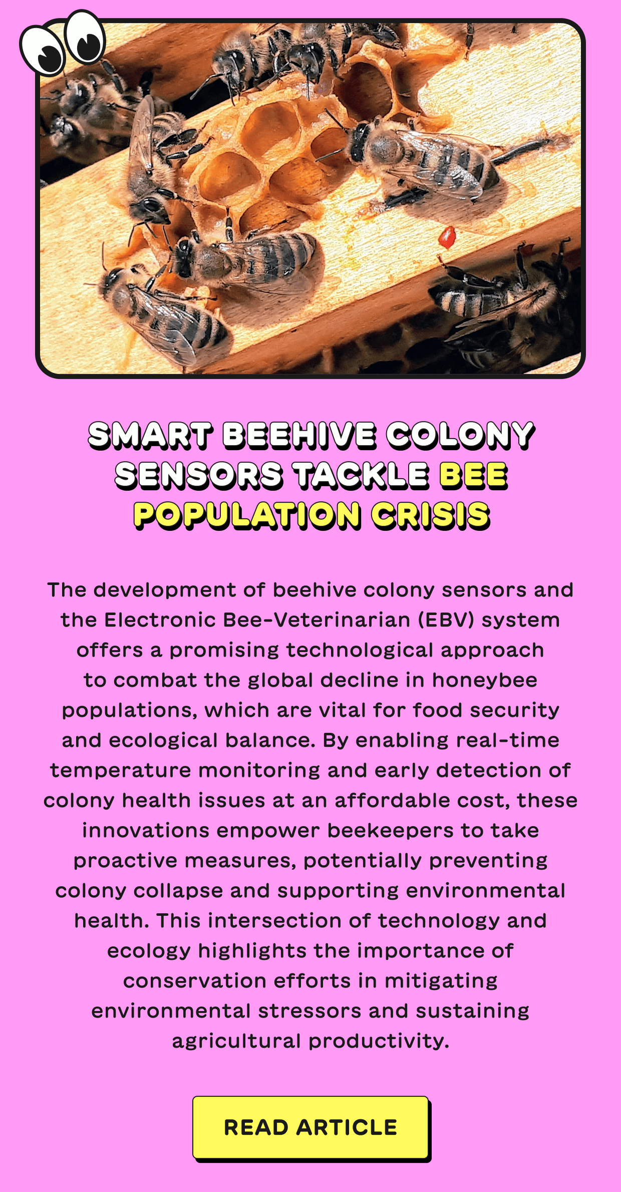 Smart Beehive Colony Sensors Tackle Bee Population Crisis