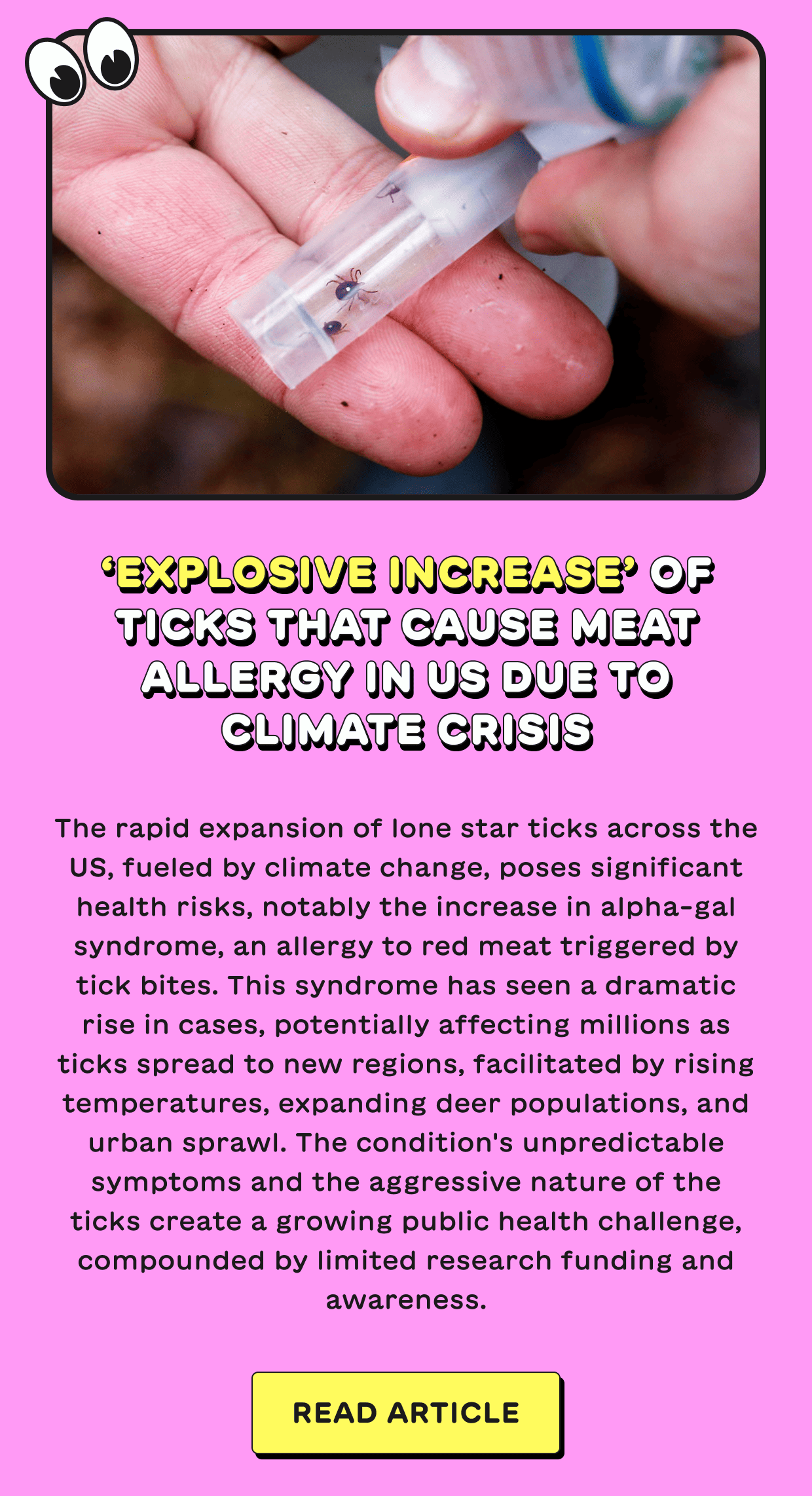 ‘Explosive increase’ of ticks that cause meat allergy in US due to climate crisis