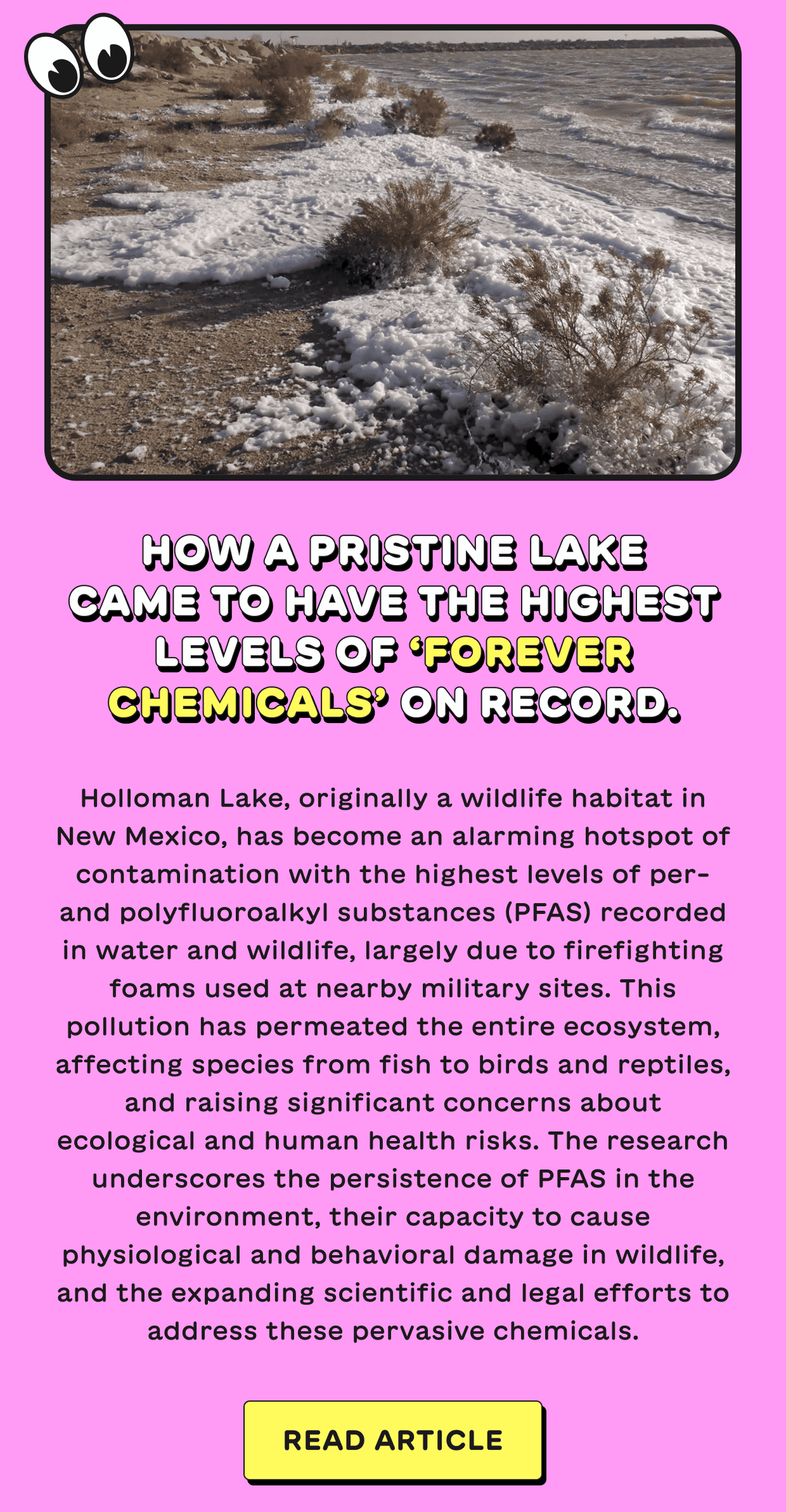 How a pristine lake came to have the highest levels of ‘forever chemicals’ on record.