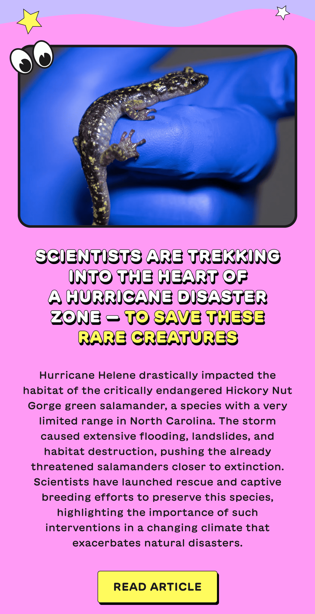 Scientists are trekking into the heart of a hurricane disaster zone — to save these rare creatures
