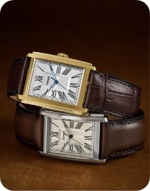 Image of two stacked mens watch, both brown leather but one with gold case and the other silver