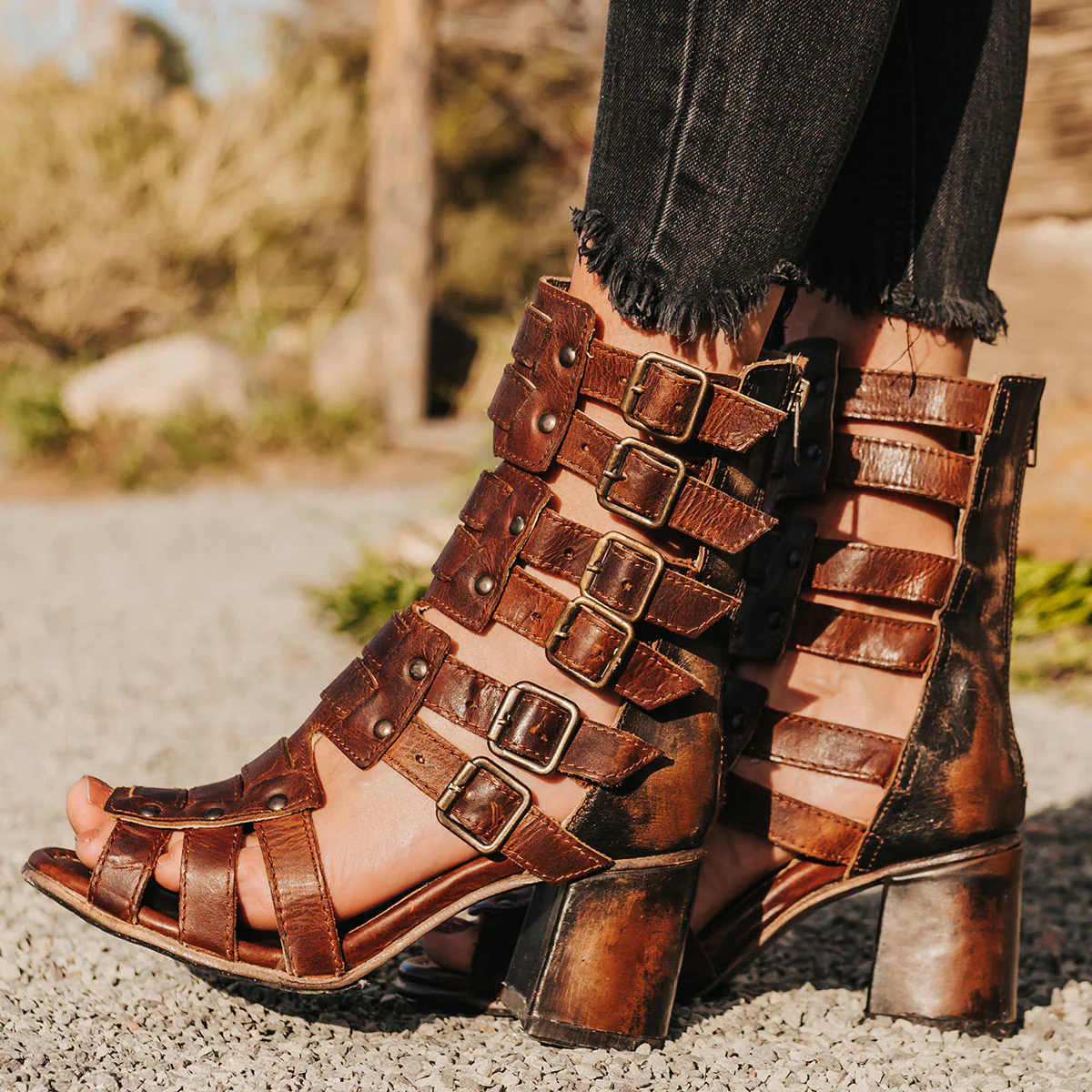 Image of Zeus - Cognac Multi